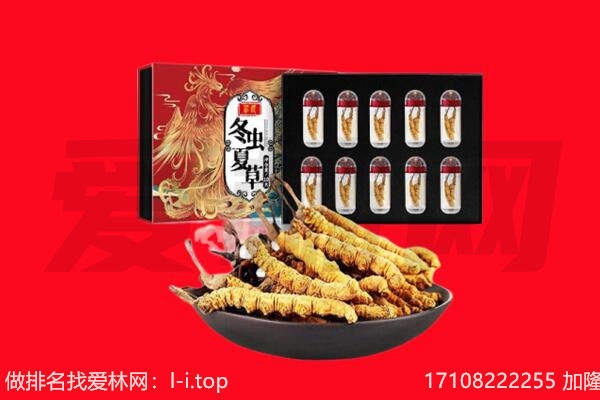 通辽科尔沁左翼中旗回收虫草.jpg